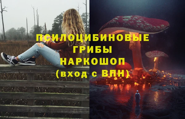 прущая мука Алзамай