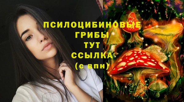 МДПВ Алексеевка